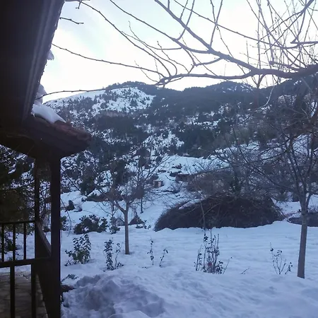 Villa En Arhi Ano Trikala Exterior foto