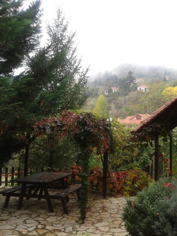 En Arhi