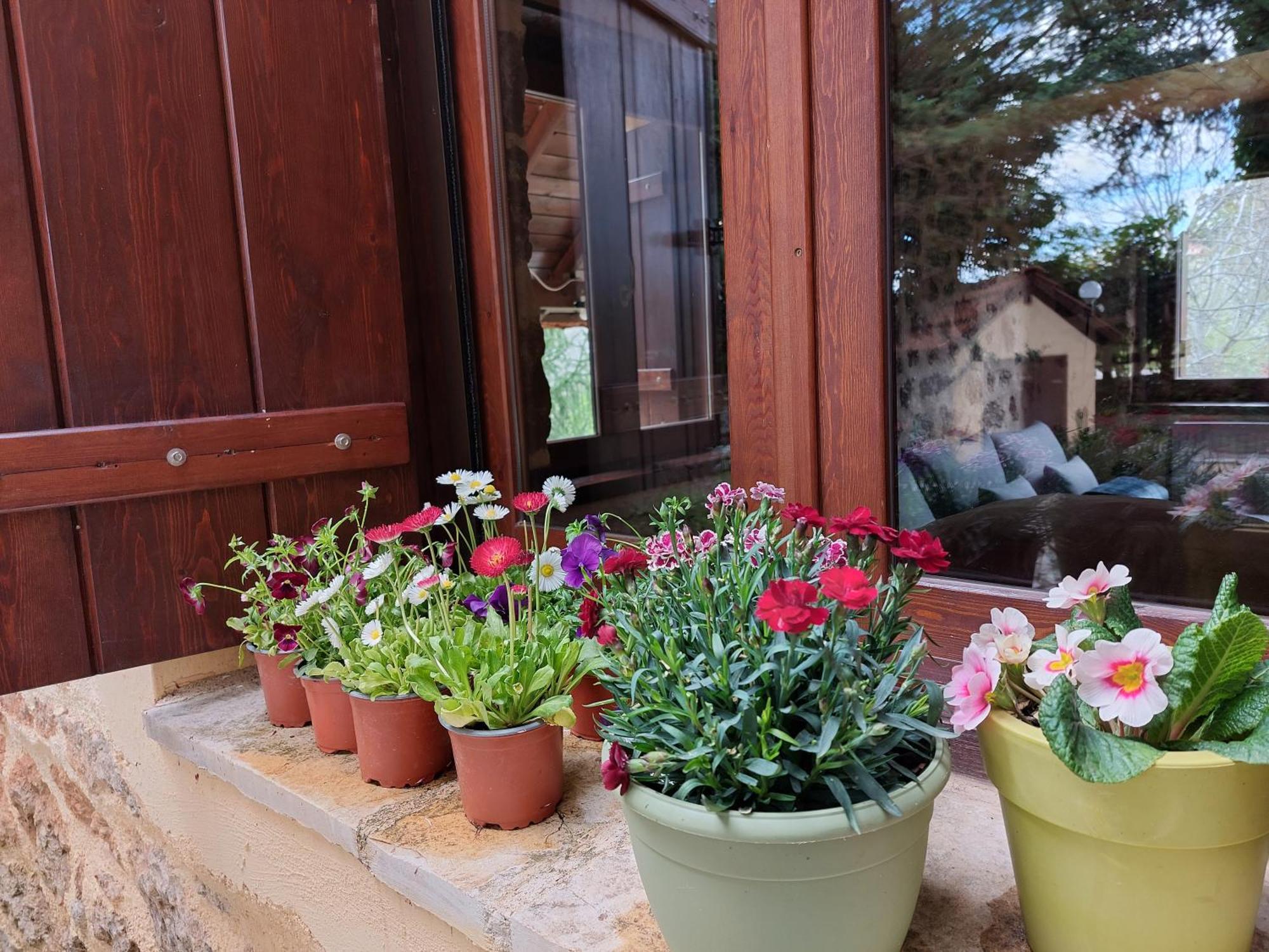 En Arhi Ferienhaus Ano Trikala