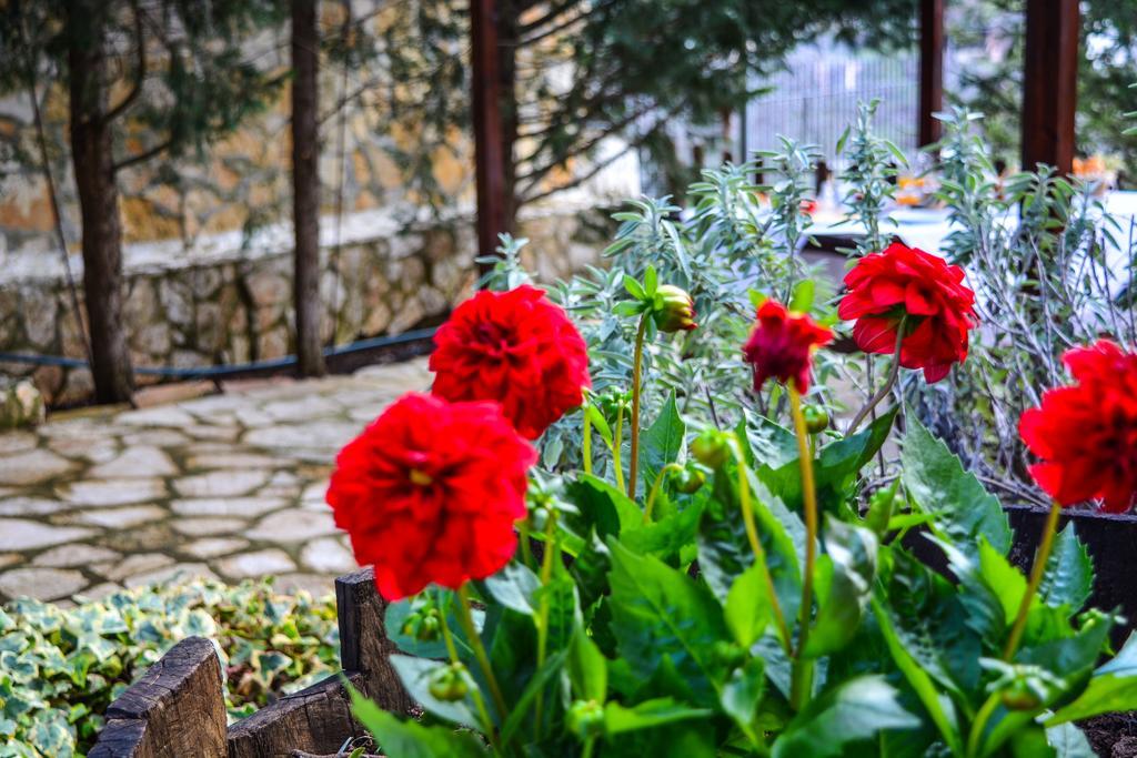 En Arhi Ferienhaus